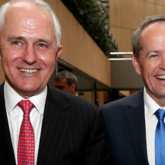 Iffiayah Wazza-Lefte: It’s time to trust Shorten and Turnbull on marriage